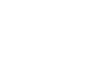 Evolution games at Spin Fortune Hub Casino